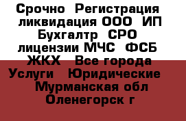 Срочно! Регистрация, ликвидация ООО, ИП Бухгалтр; СРО; лицензии МЧС, ФСБ, ЖКХ - Все города Услуги » Юридические   . Мурманская обл.,Оленегорск г.